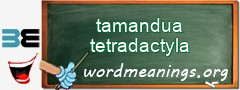 WordMeaning blackboard for tamandua tetradactyla